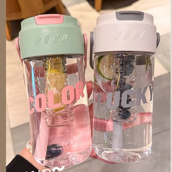 Portable Water Bottle With Straw & Built In Filter
