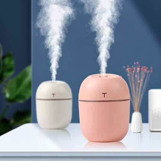 Portable Desktop Humidifier
