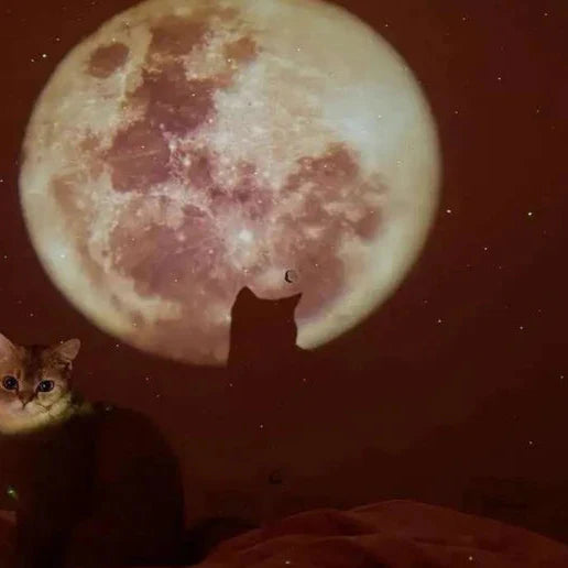 Dream Glow Mini Moon Light Projector