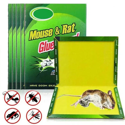 Rat killer Glue Board, Under One Dollar 