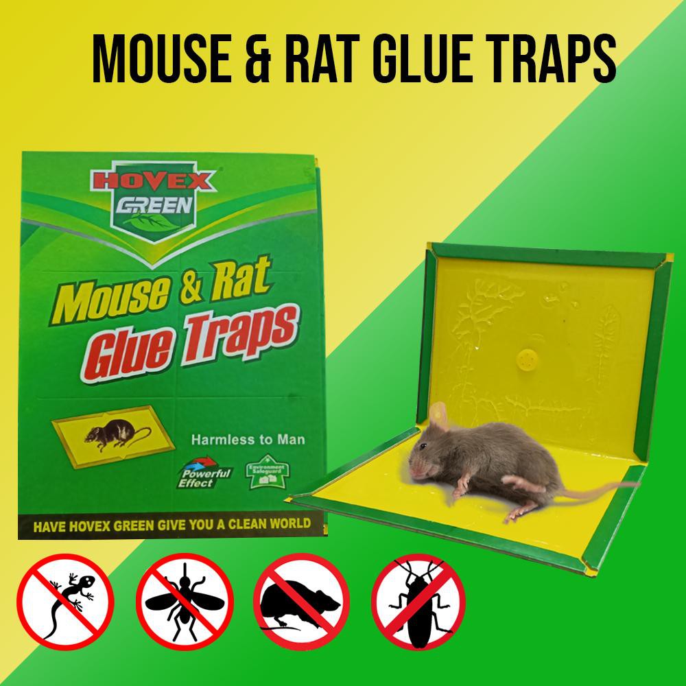 Rat killer Glue Board