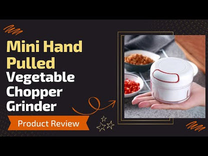 Mini Vegetable Chopper